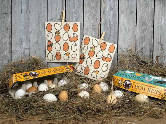 Eggs and Hatchlings Swedish Cloth - Wet-it!
