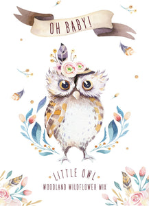 Oh Baby Owl Woodland  Bouquet Wildflower Mix - Bentley Seed Co.