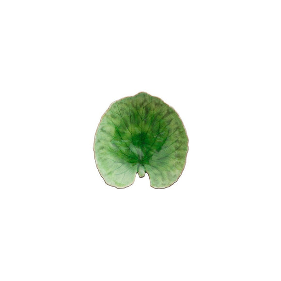 Tomate Alchemille