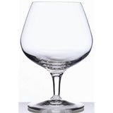 13.25 OZ COGNAC GLASSES (SET OF 4) - MICHELANGELO MASTERPIECE