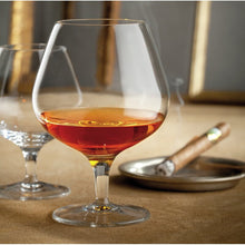  13.25 OZ COGNAC GLASSES (SET OF 4) - MICHELANGELO MASTERPIECE